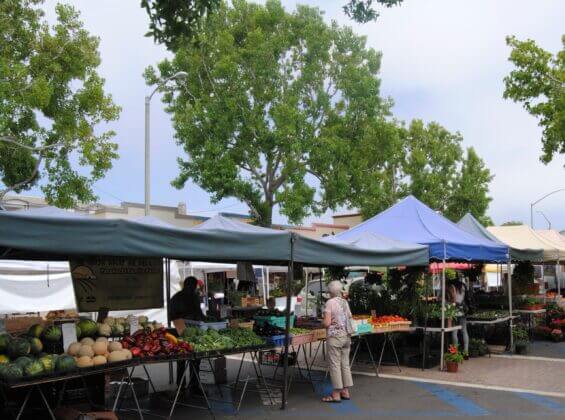 Carlsbad Company Spotlights: Organic and Natural Food Industry