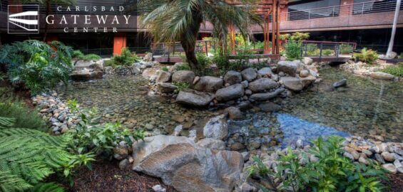 Carlsbad Gateway Center: Where Local Flavors Come Together