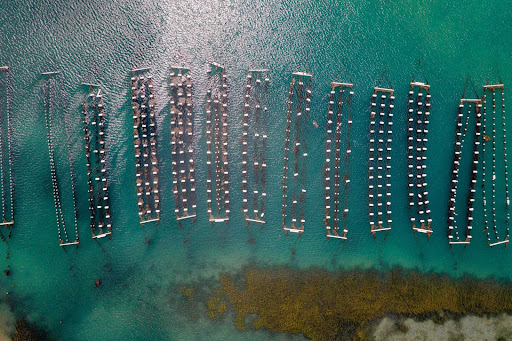 Carlsbad Aquafarm Finds Success With Farm Tours, Tasting Experiences