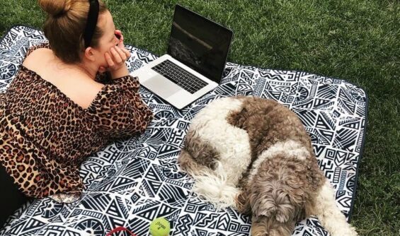 3 Things to Know About the “Work from Anywhere” Movement