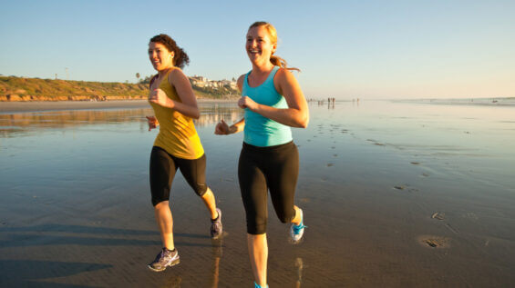 Endless Summer in Carlsbad