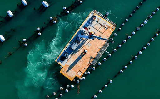 Why Talent Comes to Carlsbad: A Vibrant Hub of Innovation and Opportunity