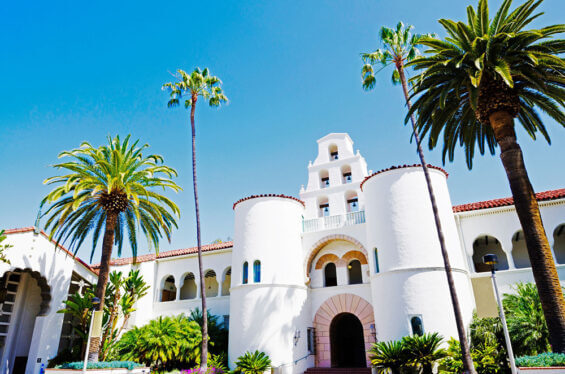 Experience new cultural connections