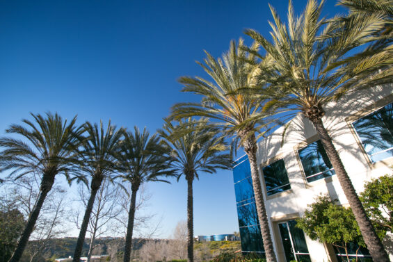 The Future Is Clean: Why Carlsbad Is a Launchpad for Climate Tech Startups