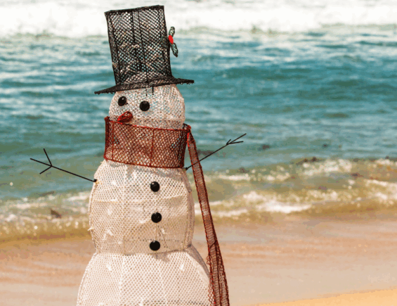 2025 in Review: A Year of Growth in Carlsbad